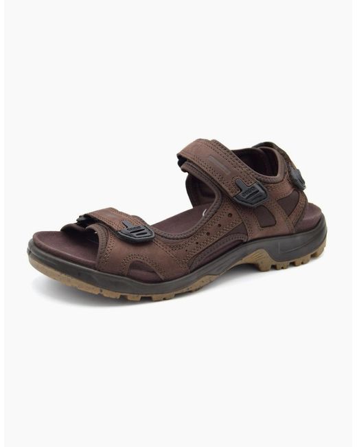 Ecco Brown Offroad Nubuck Leather Walking Sandals for men