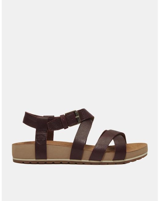 Timberland Brown Malibu Waves Sandals