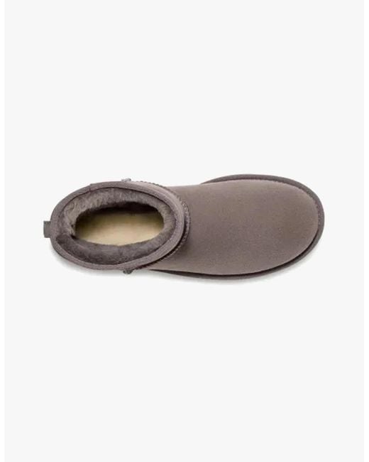 Ugg Brown Classic Mini Boots Dark for men
