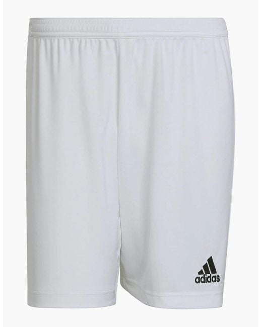 Adidas White Entrada 22 Shorts for men