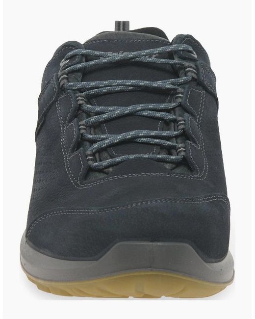 Grisport Black Icarus Walking Shoes for men