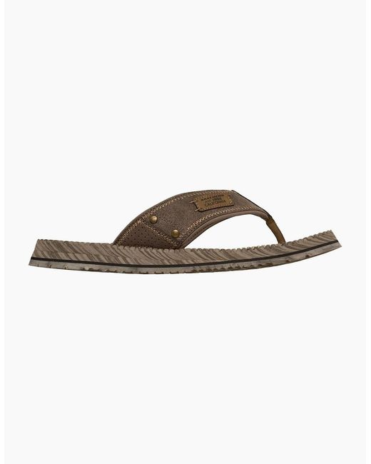 Skechers Brown Quill Textile Flip Flops for men