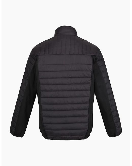Regatta Blue Tourer Hybrid Padded Jacket for men