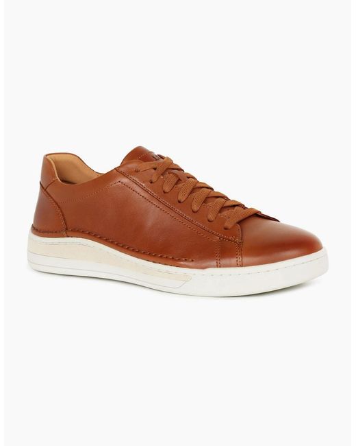 Josef Seibel Brown Cleve 02 Trainers for men