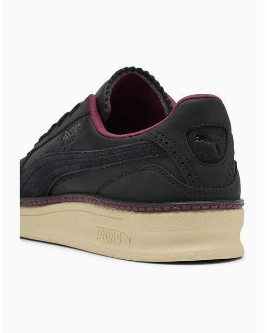 PUMA Black Indoor Regal Grace Low Top Trainers
