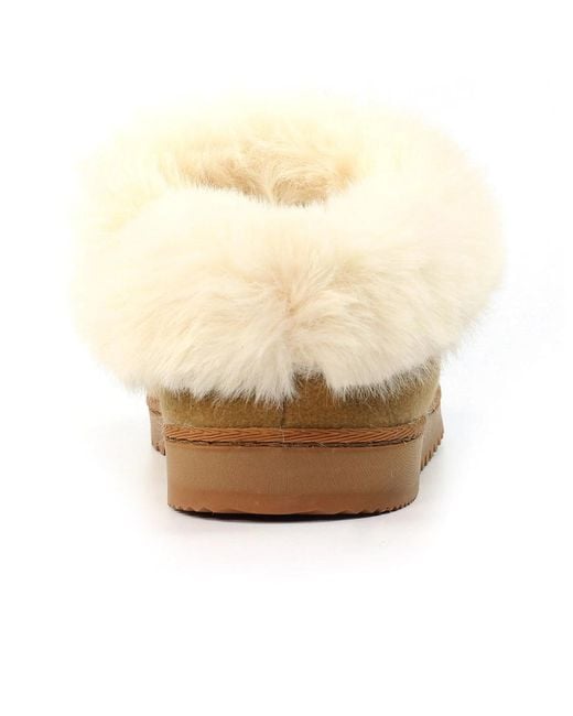 Lunar Brown Cranbrook Boxed Slippers