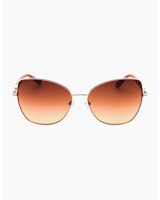 Guess Brown Gradient Lens Sunglasses
