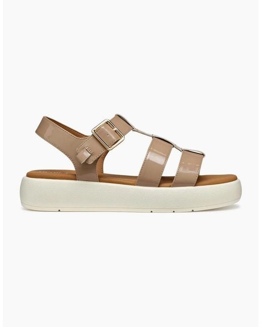 Geox Brown D Camalei Sandals