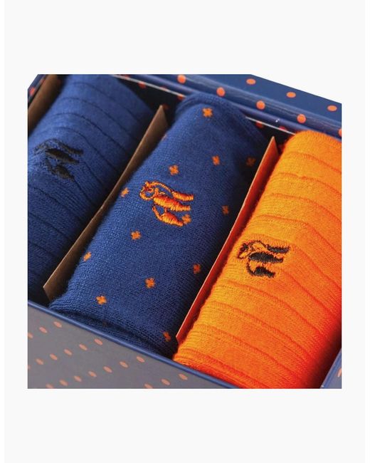 Swole Panda Blue Bamboo Sock 3 Pack Gift Set