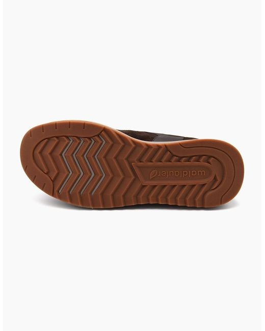 Waldläufer Brown Carlo 567001 for men