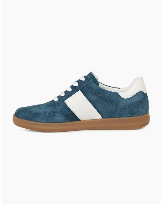 Caprice Blue Map Trainers