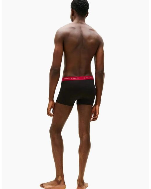 Tommy Hilfiger Blue 3-Pack Signature Cotton Boxer Trunks, W/ Burgundy for men