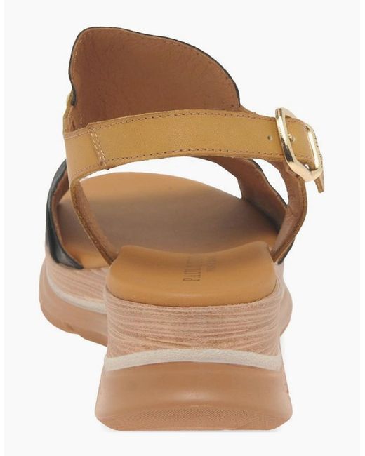 Paula Urban Brown Riviera Ii Sandals