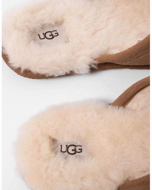 Ugg Brown Scuff Slipper for men