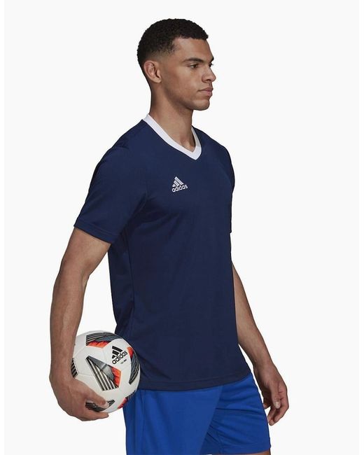 Adidas Blue Entrada 22 Short Sleeve Jersey Top for men
