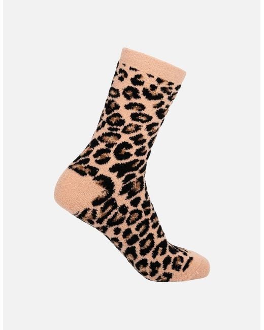 Trespass White Ladies Aryash Socks (Pack Of 2)