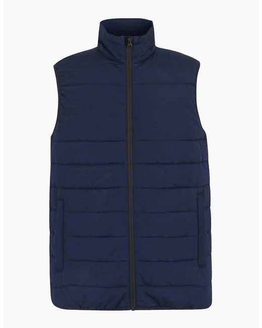 Regatta Blue Professional Thermal Body Warmer for men