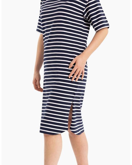 Trespass Blue Ladies Elayna T-Shirt Dress