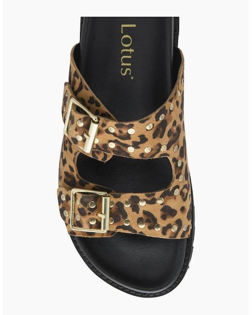 Lotus Brown Conti Sandals