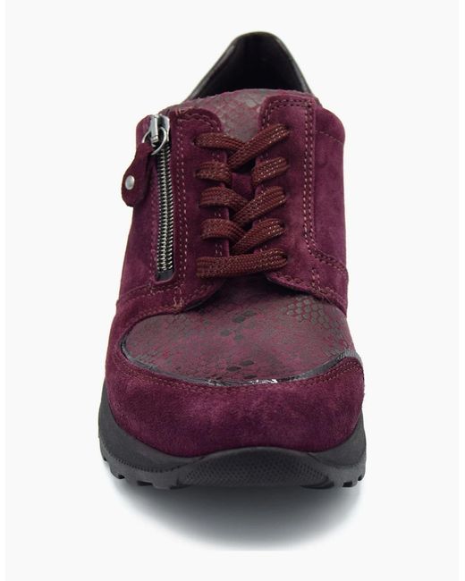 Waldläufer Purple Gem H64007