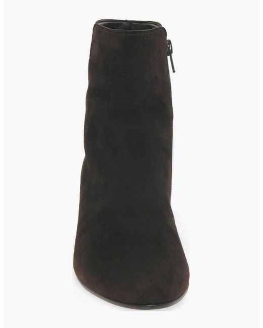 Gabor Black Abbey Ankle Boots