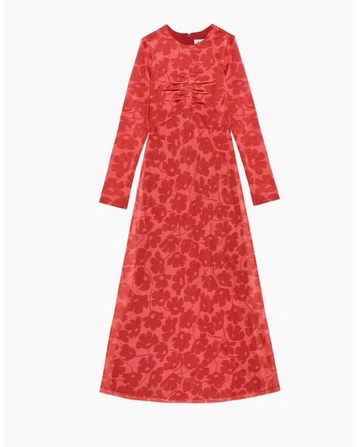 Ro&zo Red Petite Floral-Print Mesh Midaxi Dress