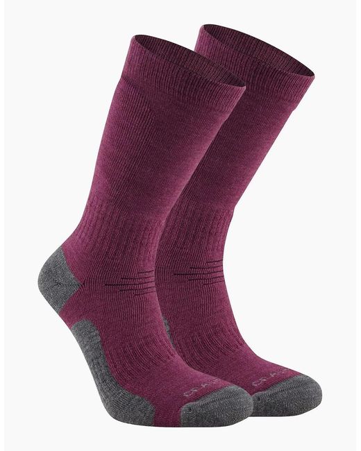 Craghoppers Purple Adult Trek Merino Wool Socks
