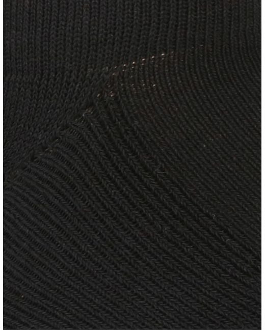 Regatta White Adult Trainer Socks (Pack Of 5)
