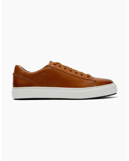 Ben Sherman Brown Ace Cupsole Leather Tan Trainers for men