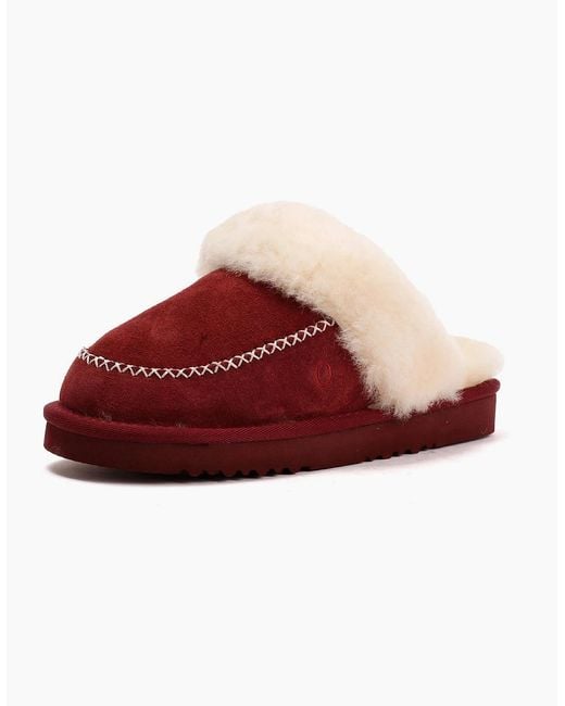 Osprey Brown London The Celeste Suede Merlot Slippers