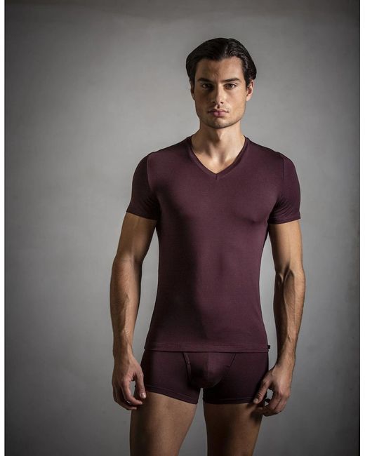 Hom Purple Tencel Soft V-Neck T-Shirt, Burgundy for men
