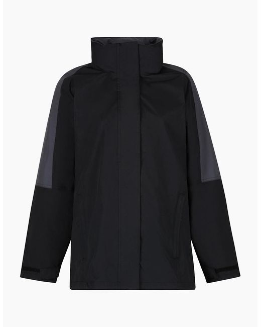 Regatta Blue Professional /Ladies 3