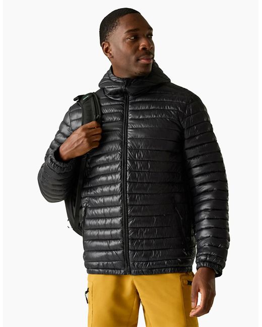 Regatta Gray Hurden Padded Jacket for men