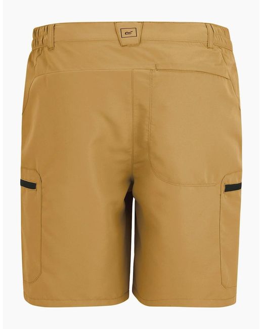 Regatta Natural Leesville Iii Shorts for men