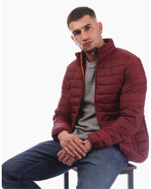 Aquascutum Red Puffer Jacket for men
