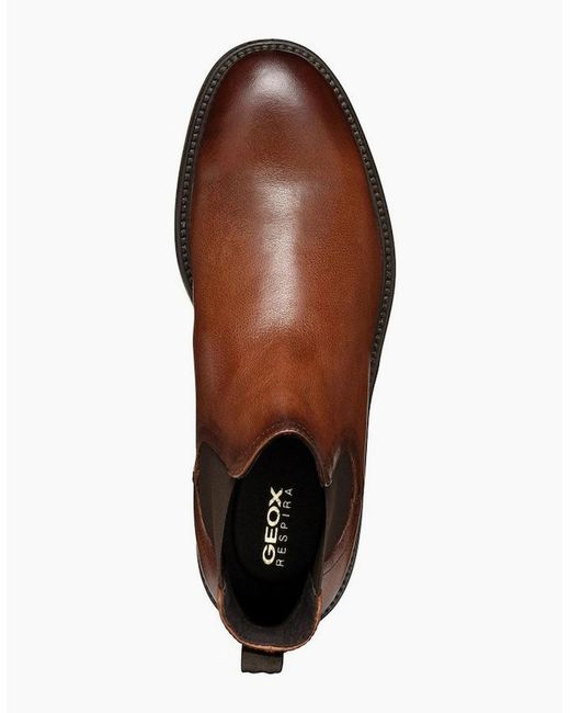Geox Brown U Tiberio A Boots for men
