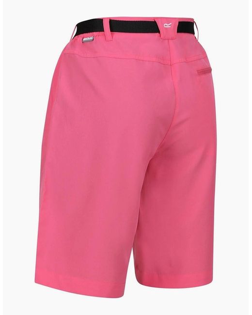 Regatta Red Xert Stretch Bermuda Walking Shorts