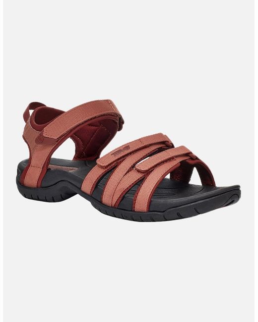 Teva Brown Tirra Walking Sandals