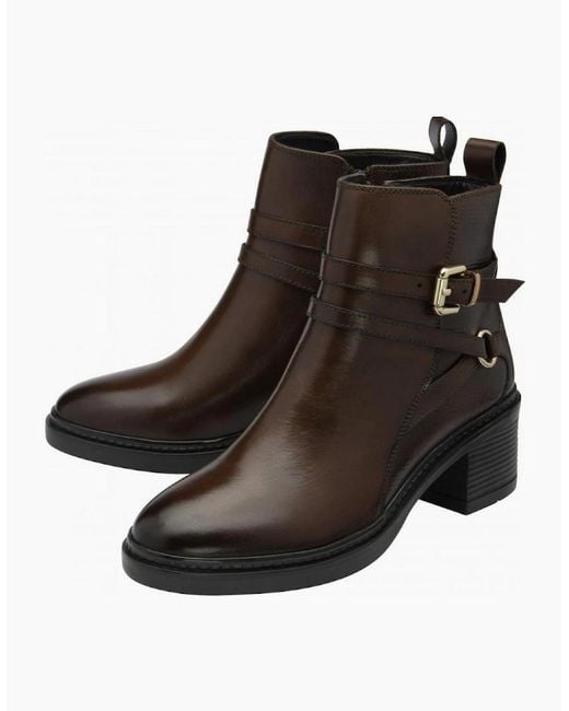 Lotus Brown Dominika Boot Ankle