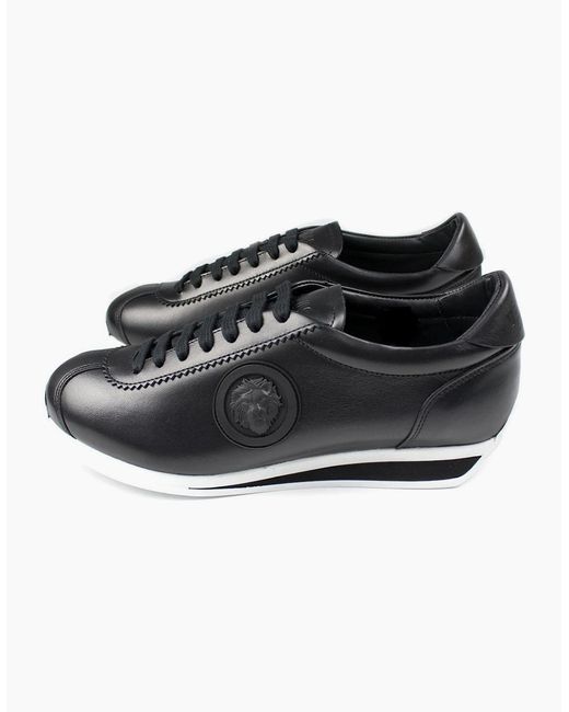 Versus  Black Versace Versus Low Top Lion Sneaker for men