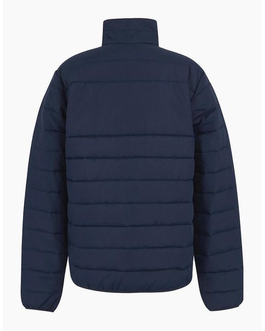Regatta Blue Professional Essential Thermal Padded Jacket for men