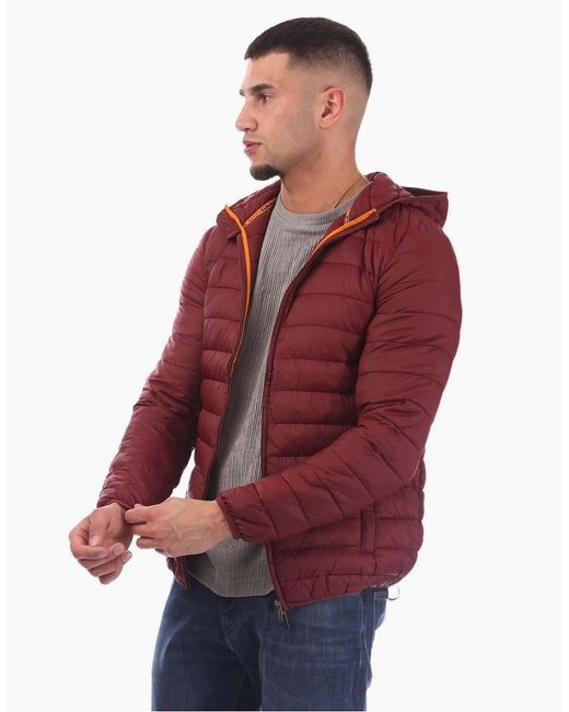 Aquascutum Red Puffer Jacket for men