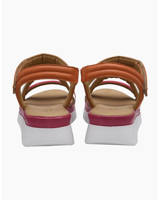 Lotus Pink Zamira Sandals