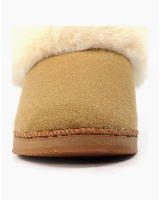 Lunar Brown Cranbrook Boxed Slippers