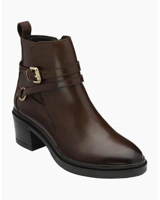 Lotus Brown Dominika Boot Ankle