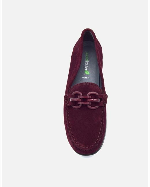 Waldläufer Purple Lucy 785511