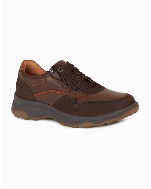 Waldläufer Brown Maximus Trainers for men