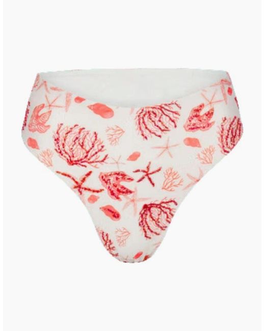 Oceanus Multicolor Josie Bikini Bottom