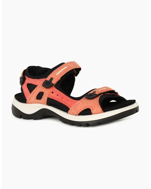Ecco White Yucatan (Offroad) Ladies Sandals