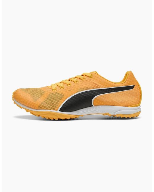 PUMA Orange Evospeed Haraka 8 Off Road Trail Running Shoes for men